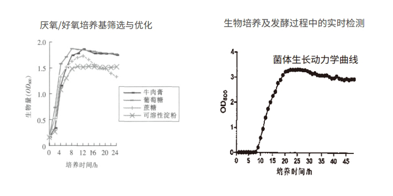 过程安全，结果精准