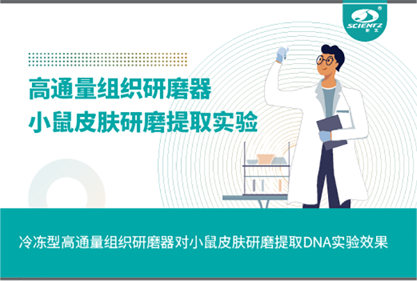 冷冻型高通量组织研磨器对小鼠皮肤研磨提取DNA实验效果