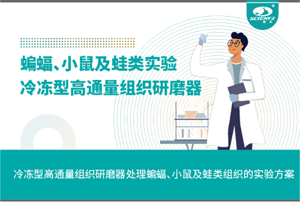 冷冻型高通量组织研磨器处理蝙蝠、小鼠及蛙类组织的实验方案