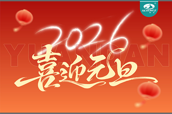 董事长周芳女士新年献词：心有定力，沐光而行